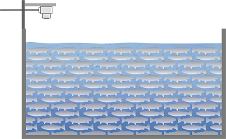 Niveaumeting in kweekbassins 